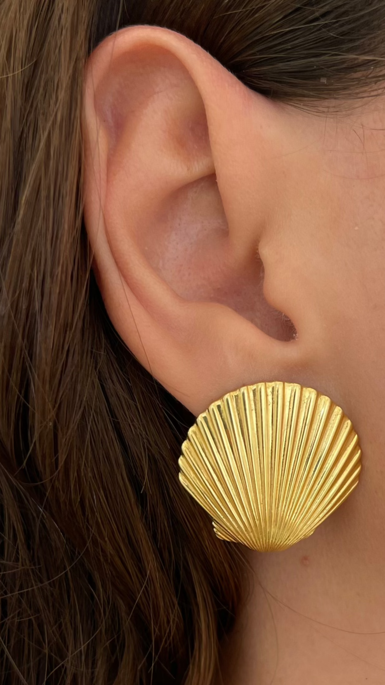 shell earrings, gold plated earrings