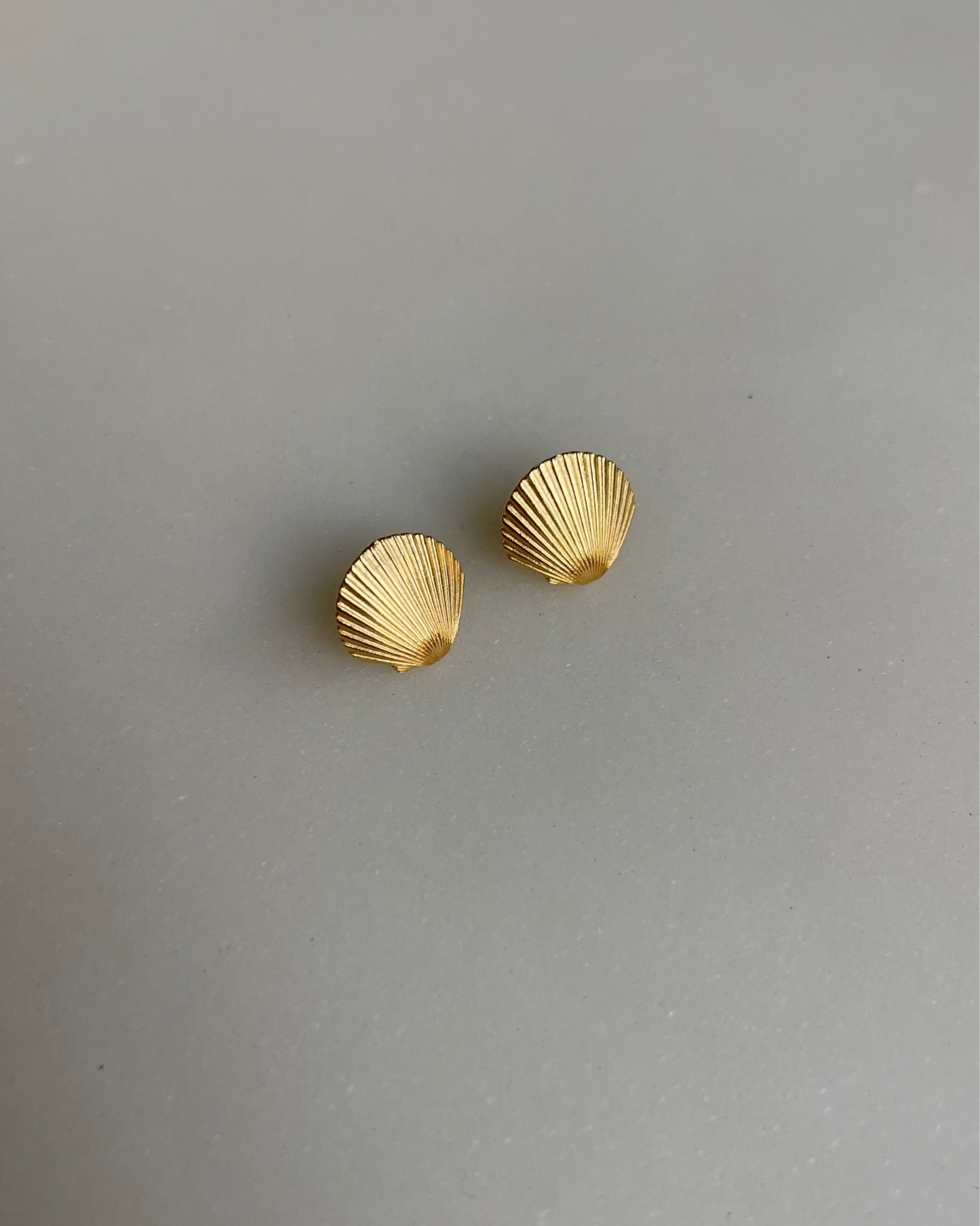 mini shells stud earrings
