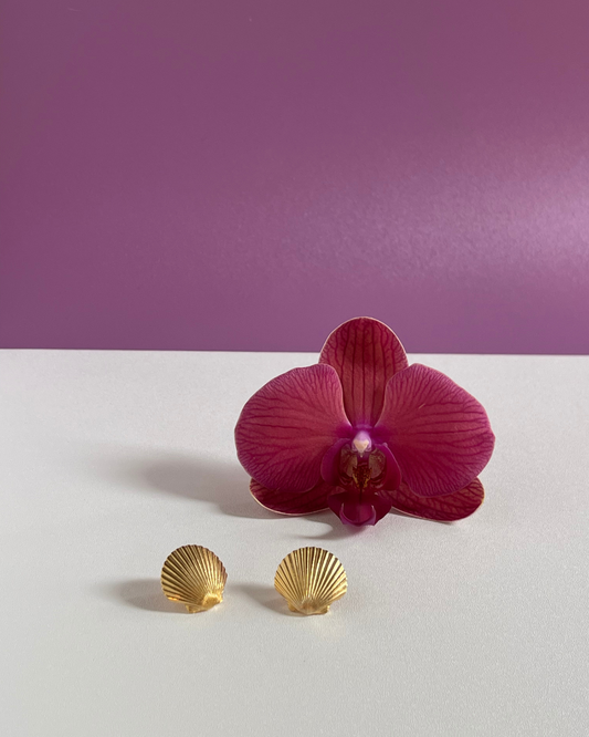 perfect gift for her, shell earrings, fine jewellery